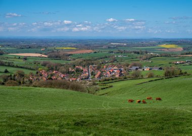 Yeşil tarlaları ve mavi gökyüzü olan Yorkshire, Leavening köyünün yüksek manzarası.