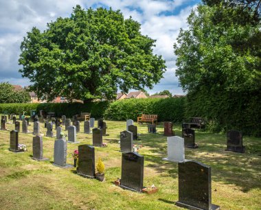 Güneşli bir günde, arka planda ağaçlar olan küçük bir mezarlıkta mezar taşları.