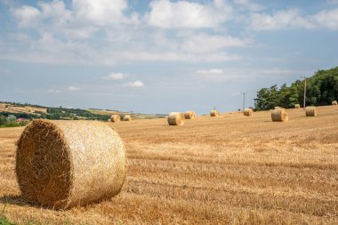 Açık güneşli bir günde, kefalet, telgraf direklerinin ve mavi gökyüzünün olduğu yuvarlak saman balyaları..