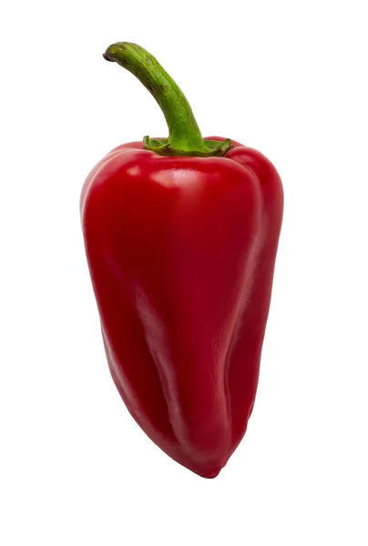 Rode Rijpe Paprika Close Schot Een Witte Achtergrond — Stockfoto