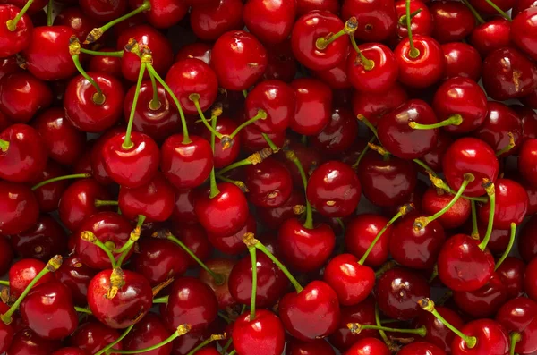Background Ripe Juicy Red Cherries Bunch Ripe Berries — Stock Photo, Image