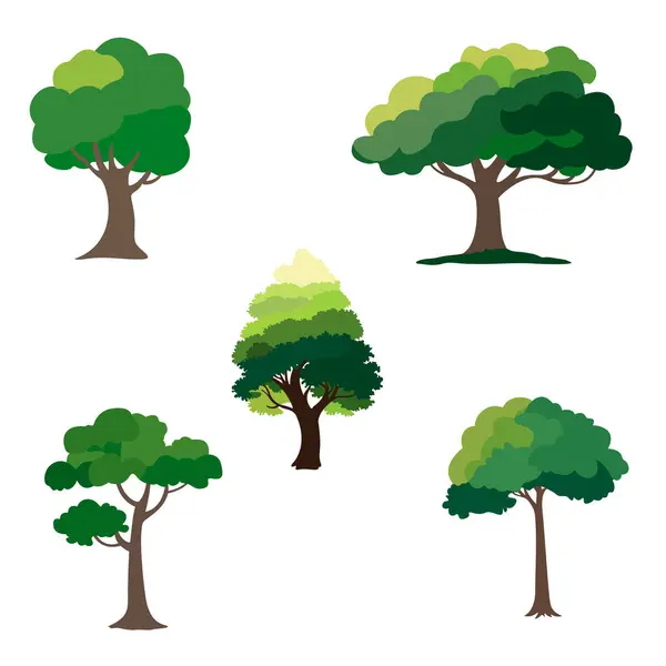 Набор Векторных Деревьев Лиственных Растений Лицензионные Стоковые Векторы