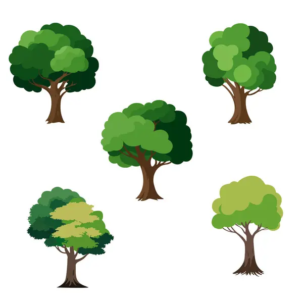 Набор Векторных Деревьев Лиственных Растений Стоковый вектор