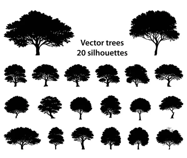 Коллекция Векторных Детализированных Силуэтов Деревьев Ручной Работы Дизайна Лицензионные Стоковые Векторы