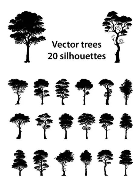 Коллекция Векторных Детализированных Силуэтов Деревьев Ручной Работы Дизайна Стоковая Иллюстрация