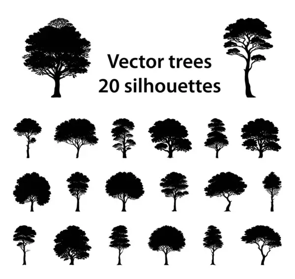 Verzameling Van Vector Gedetailleerde Hand Getrokken Silhouetten Van Bomen Voor Stockvector