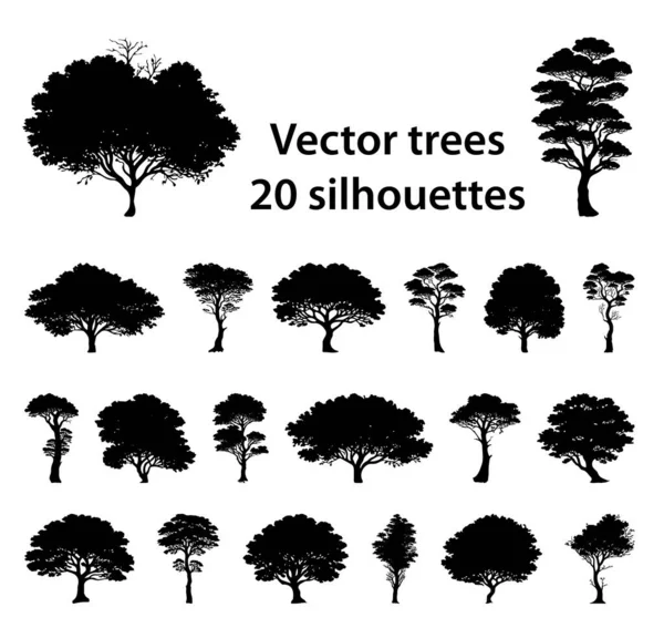 Verzameling Van Vector Gedetailleerde Hand Getrokken Silhouetten Van Bomen Voor Vectorbeelden