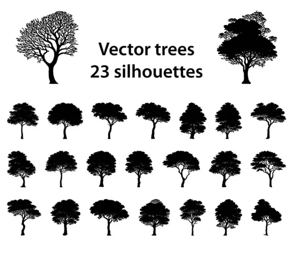 Verzameling Van Vector Gedetailleerde Hand Getrokken Silhouetten Van Bomen Voor Vectorbeelden