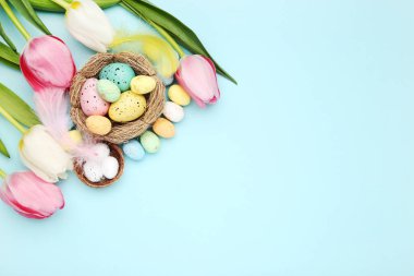 Eggs in nests and flowers of tulips on blue background