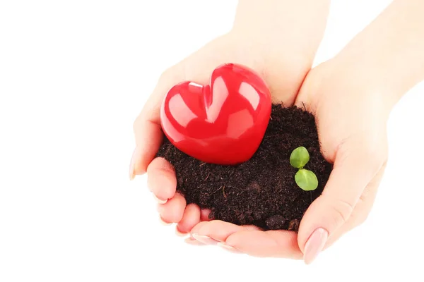 Female Hands Holding Soil Green Sprout Red Heart White Background — Photo