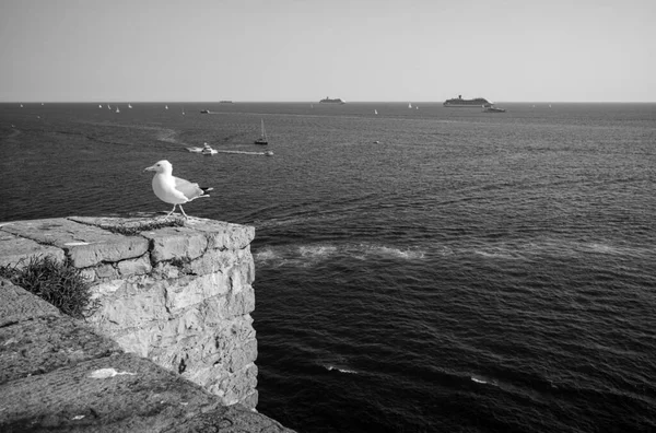 Porto Venere Liguriska Havet — Stockfoto