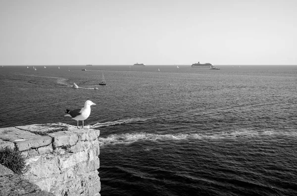 Porto Venere Morze Liguryjskie — Zdjęcie stockowe