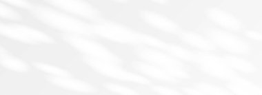 Doğal güneş ışığı ve gölge duvar kağıdı. Model, şablon, pankart, kaplama, poster için Dapple light parlayan yüzey arka planı. Yüzeyde, duvarda, tavanda, zeminde ışık huzmeleri ve ışınlar tespit edildi. Vektör