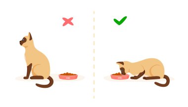 İyi ve kötü iştahlı bir kedi. Yemek yemeyi reddeden seçici kedi ve kasede yemek yiyen aç kedi. Evcil hayvan problemi konsepti. Düz biçim vektör illüstrasyonu