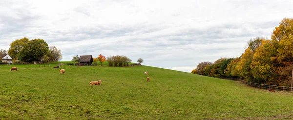 秋のフィールドと村のパノラマ写真 ドイツの田園風景 — ストック写真