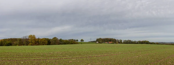 Samotny Dom Wiejski Środku Ogromnego Zielonego Pola Panoramiczny Wiejski Jesienny — Zdjęcie stockowe
