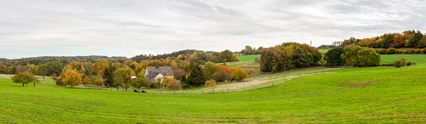 Панорамные Сельские Осенние Пейзажи Северном Рейне Вестфалии Германии Фермерский Домик — стоковое фото