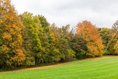 Sonbahar parkında kırmızı-sarı ağaçlar. Güzel mevsimlik manzara fotoğrafı