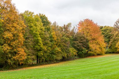 Sonbahar parkında kırmızı-sarı ağaçlar. Güzel mevsimlik manzara fotoğrafı