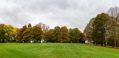 Sonbahar parkında kırmızı-sarı ağaçlar. Güzel mevsimlik manzara fotoğrafı