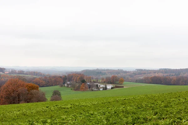 Jesienny Krajobraz Polami Lasami Łąkami Niemczech — Zdjęcie stockowe