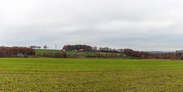 Panoramatický Pohled Podzimní Krajinu Poli Lesy — Stock fotografie