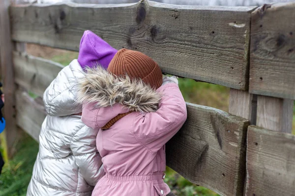 Дві Маленькі Дівчата Зимовому Одязі Дивляться Дерев Яного Паркану — стокове фото