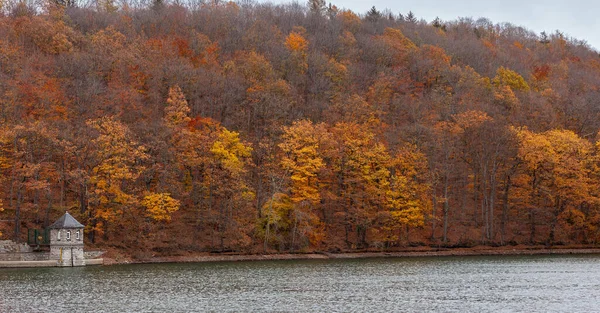 Autumn Landscape Lake Colorful Trees Forest — Stock fotografie