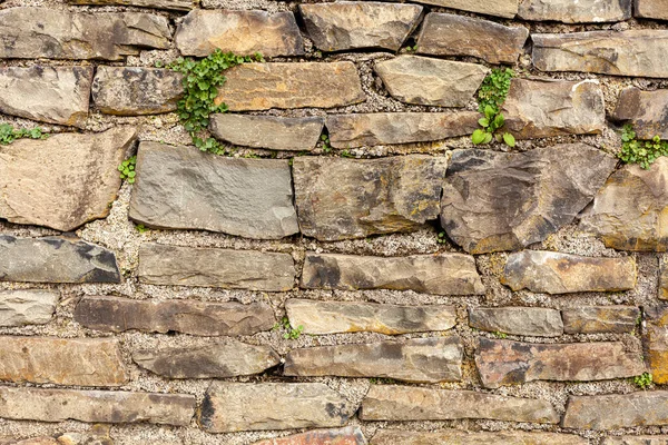 Текстура Каменной Стены Фон Текстуры Каменной Стены Текстура Каменной Стены — стоковое фото