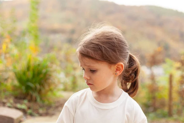 秋天公园里美丽的小女孩的画像 有选择的重点 — 图库照片