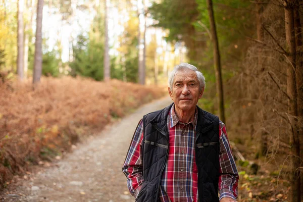 stock image Portrait of an elderly man in a forest. Selective focus.