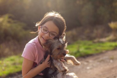 Gün batımında Yorkshire Terrier köpeği olan küçük bir kız.