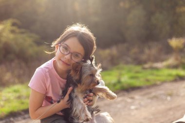 Gün batımında Yorkshire Terrier köpeği olan küçük bir kız.