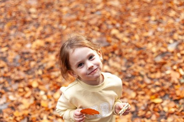 Leuk Klein Meisje Dat Met Herfstbladeren Speelt Het Park Selectieve — Stockfoto