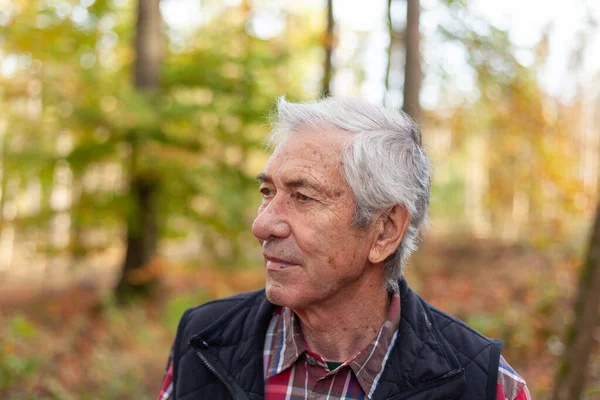 stock image Portrait of a senior man standing in the forest on a sunny day