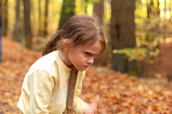 Маленька Дівчинка Грає Осінньому Лісі Вибірковий Фокус Дівчині — стокове фото