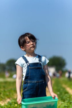 Soya tarlasında duran ve elinde plastik bir kap tutan küçük kız.