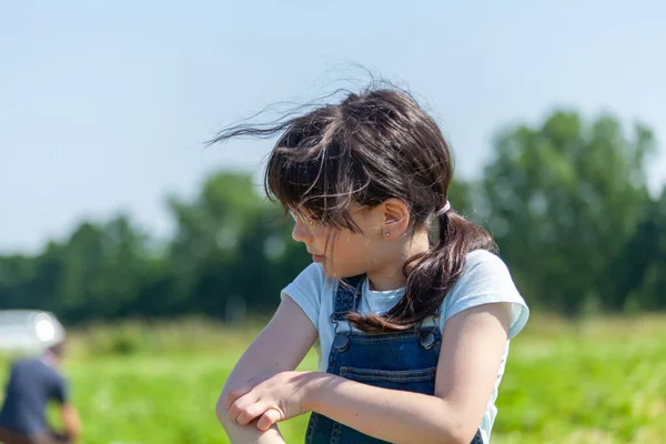 Маленька Дівчинка Збирає Полуницю Полі Вибірковий Фокус Дівчині — стокове фото
