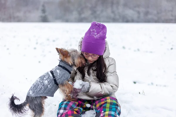 Ung Flicka Leker Med Sin Yorkshire Terrier Hund Vinterparken — Stockfoto