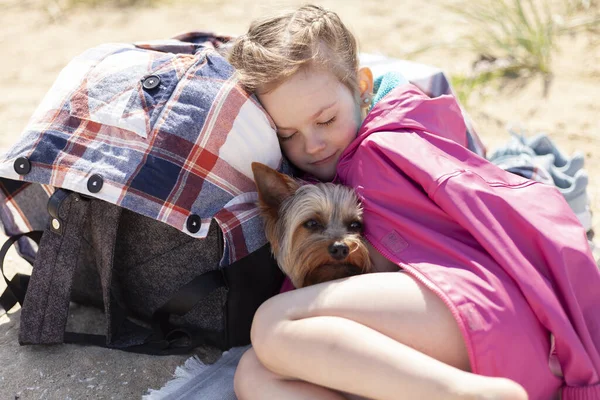 A little girl with a dog sleeps on the beach on a backpack, covered with a jacket. Little terrier guarding his owner on the sandy shore