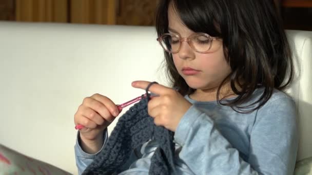 Gözlüklü Genç Bir Kız Koltukta Oturup Mavi Bir Kazak Örüyor — Stok video