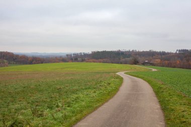 Arka planda ağaçlar olan bir çayırın ortasında yol