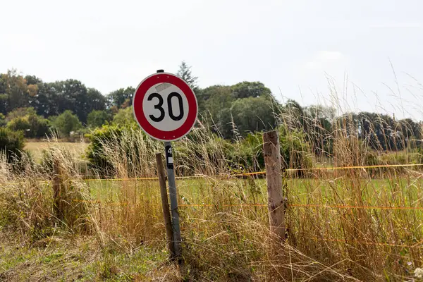 Traffic sign with speed limit 30 km/h in a field