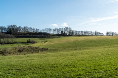 Yeşil çayır ve mavi gökyüzünün altındaki tepelerde ağaçlarla ilkbahar manzarası