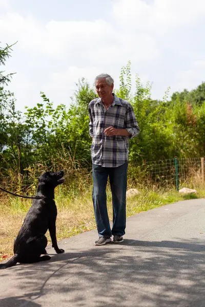 Special bond between an elderly man and his black Labrador companion, enjoying a peaceful moment together on a country road