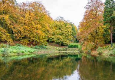 Şehir parkında nehir ve renkli ağaçlarla sonbahar manzarası.
