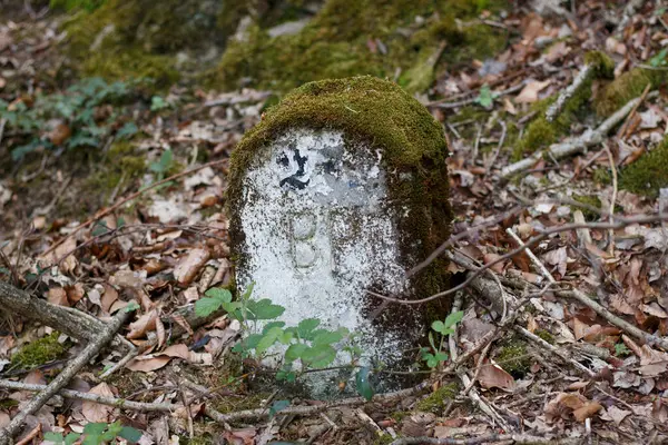 Ormanda yoldaki harflerle yosunlarla kaplı anlaşılmaz antik bir taş.