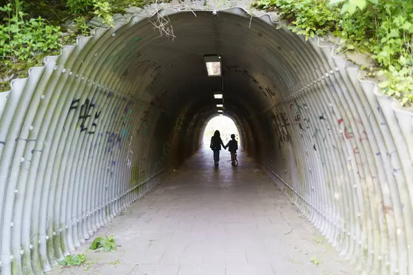 Stock image Silhouettes of two little girls with their dog against the backdrop of the light end of the tunnel