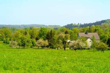 Çiçek açan ağaçlar ve yeşil çayırlar ile ilkbahar kırsal arazisi, Çek Cumhuriyeti