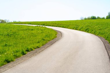 Yazın yeşil çimenler ve arka planda mavi gökyüzü ile perspektifli köy yolu